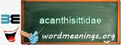 WordMeaning blackboard for acanthisittidae